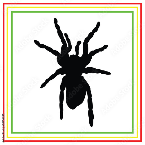 tarantula silhouette design on white background