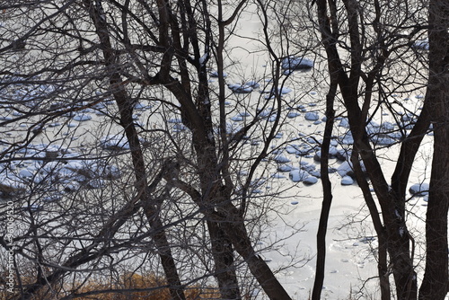 snow-covered rocks in a frozen river viewed through trees