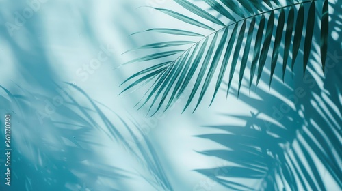 Blurred palm leaf shadows on a light blue wall: Abstract background for product displays.