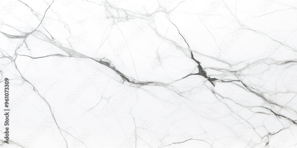 Classic white marble pattern with intricate dark lines. Suitable for upscale interior projects Classic white marble pattern with intricate dark lines. Suitable for upscale interior projects
