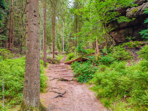 Ancient Lattengrund Canyon and hiking trail, old spruce forest at Sandstone rocks Schrammstein group in the national park Saxon Switzerland, Bad Schandau, Saxony, Germany photo