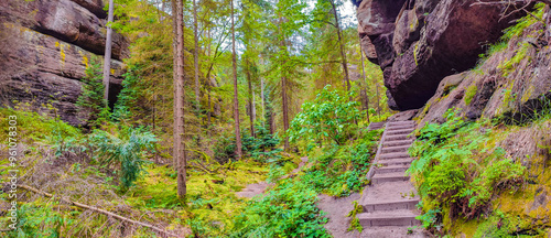 Ancient Lattengrund Canyon and hiking trail, old spruce forest at Sandstone rocks Schrammstein group in the national park Saxon Switzerland, Bad Schandau, Saxony, Germany photo