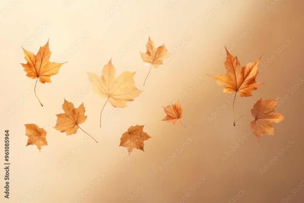 close-up photo of amazing dropping gold maple leaves in beige background close-up photo of amazing dropping gold maple leaves in beige background