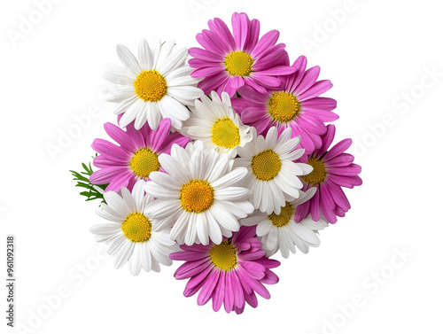 Vibrant bouquet of daisies in pink and white hues for decoration