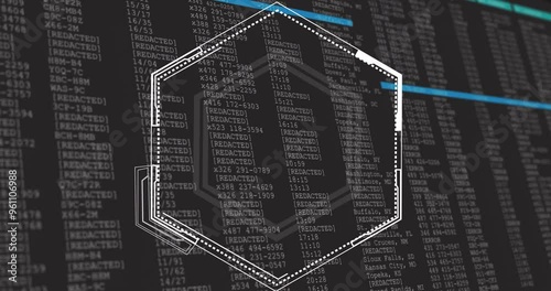 Hexagonal shape over redacted data and coding animation photo