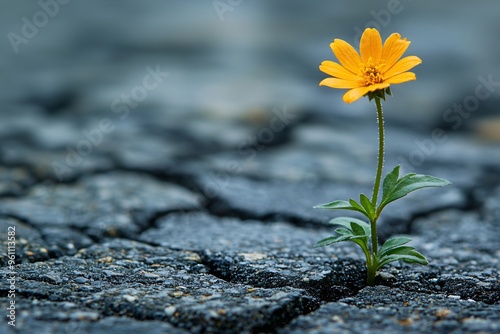 A resilient yellow flower growing through cracked pavement, symbolizing hope and perseverance in a business context, ideal for motivational campaigns.