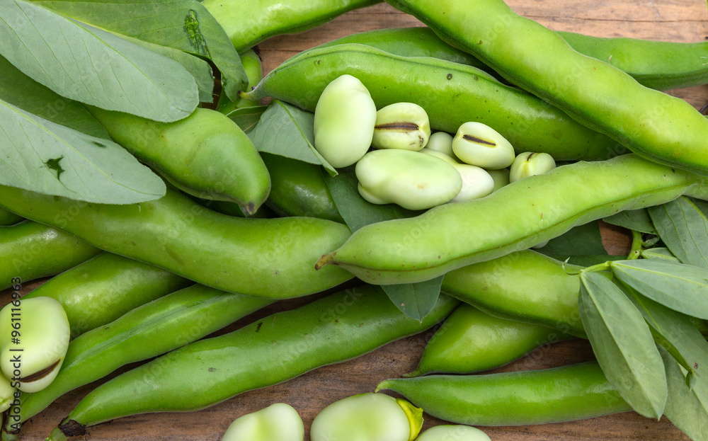 Broad bean or fava beans (Fave) on the close-up. From garden to table: springtime vegetables and legumes
