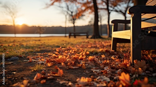 Wallpaper Mural Sunlight passing through autumn trees photo Torontodigital.ca