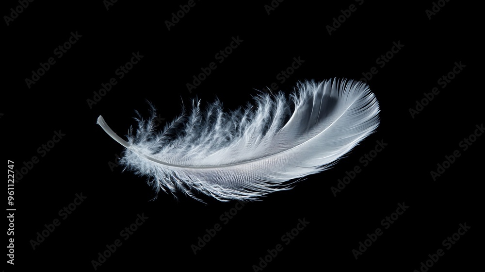 Obraz premium A single white feather isolated on a black background.