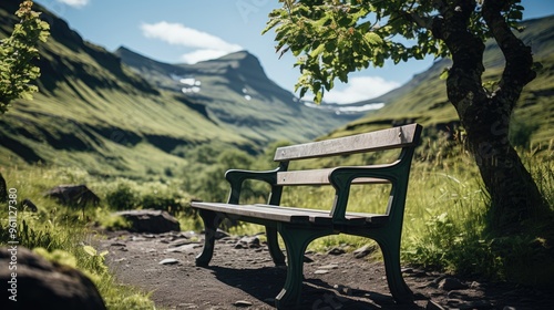 Wooden bench in a field covered in greenery