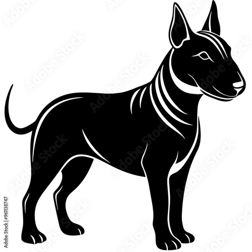 black and white dog