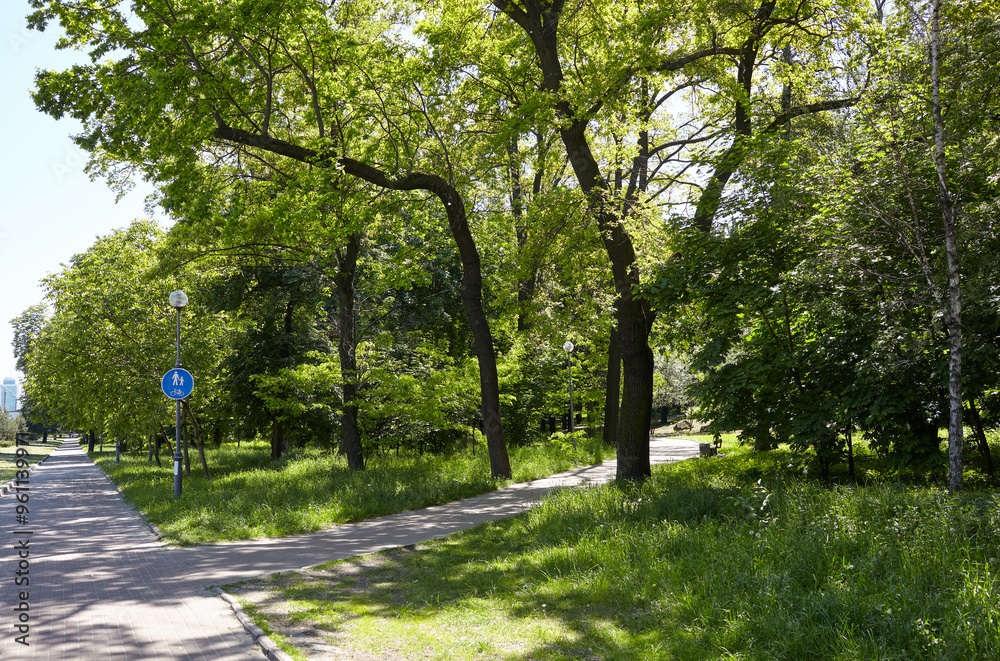 Walkway surrounded by trees and lawns in Kyiv, Europe. Recreation place in the city park Walkway surrounded by trees and lawns in Kyiv, Europe. Recreation place in the city park