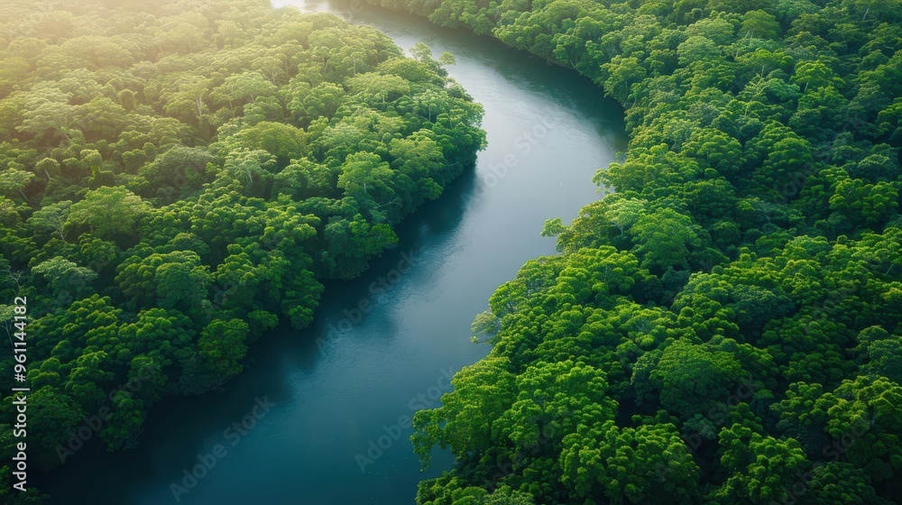 Aerial view of a winding river through a lush forest, Nature, Serenity Aerial view of a winding river through a lush forest, Nature, Serenity