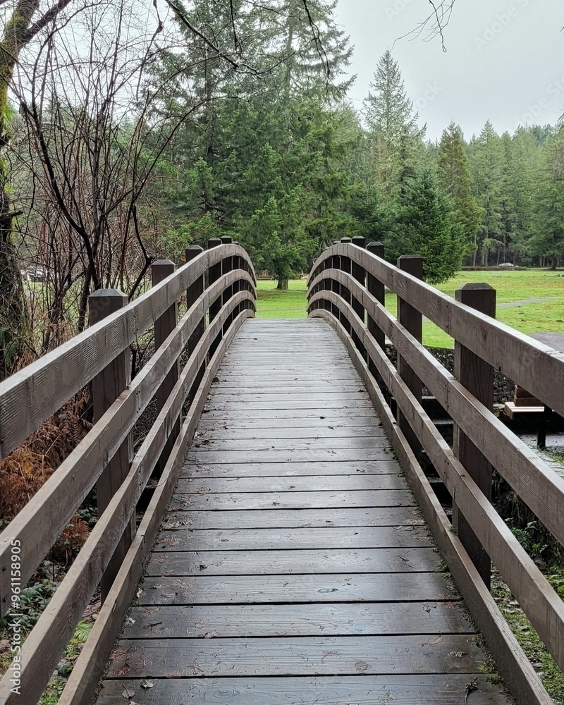 Fototapeta premium wooden bridge in the woods