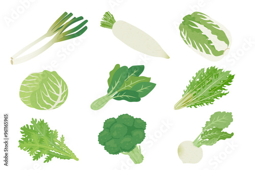 冬野菜の手描き風イラストセット