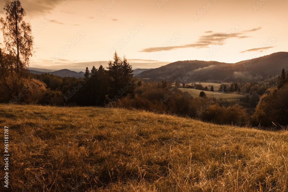 Obraz premium Cozy Landscape Background