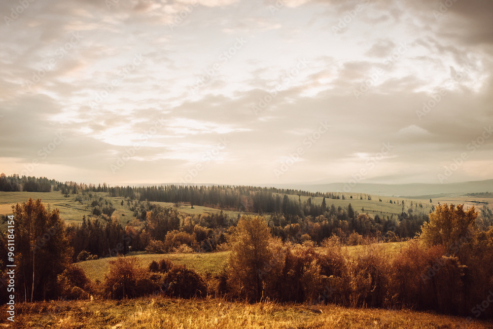 Cozy Landscape Background Cozy Landscape Background