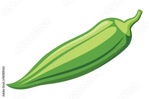 Okra vector illustration isolated in white background