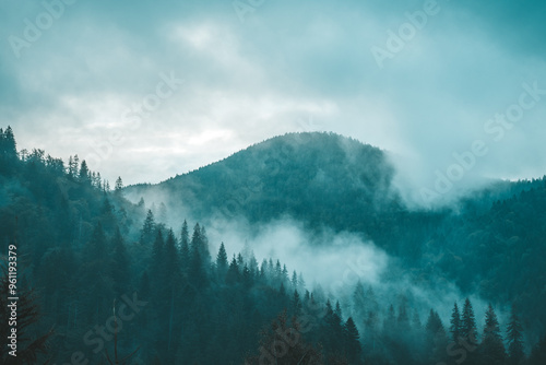 Misty mountain landscape with dense pine forests under a cloudy blue sky at dawn