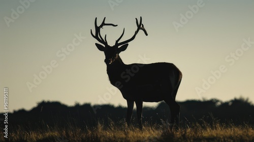 Majestic Red Deer Silhouette