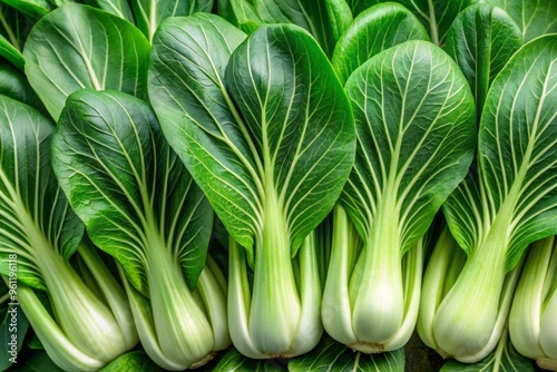 A crisp photograph of baby bok choy reveals delicate white stems and emerald leaves, suspended in a moment of fresh culinary beauty. photo