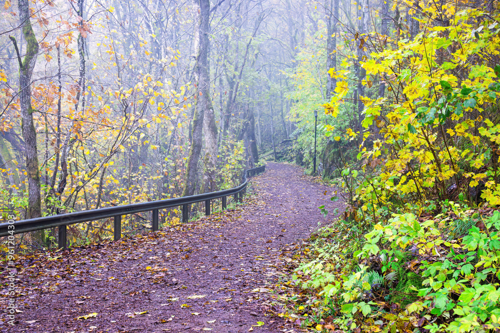 Gloomy autumn weather with an empty parkway