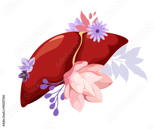 The human liver. An organ decorated with flowers. Vector illustration.
