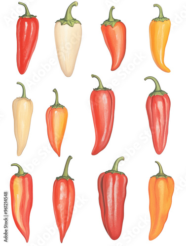 Vintage Illustration of Colorful Peppers