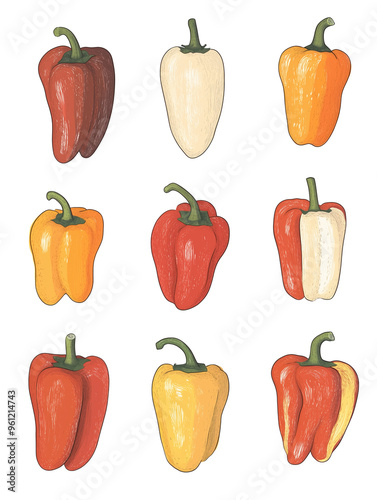 Vintage Illustration of Colorful Peppers