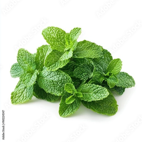 A bunch of fresh green mint leaves isolated on a white background.