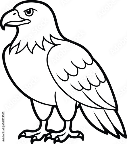 Eagle line art vector illustration bold bird graphic photo