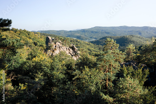 A picturesque scene of a forest with towering trees and rugged cliffs.
