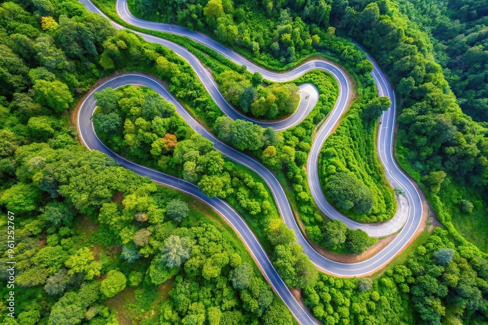 Aerial view of a winding road through lush greenery Aerial view of a winding road through lush greenery