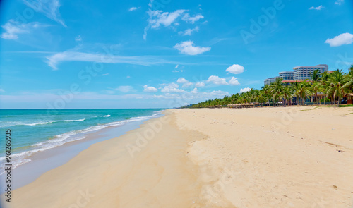 beach with palm trees and sea