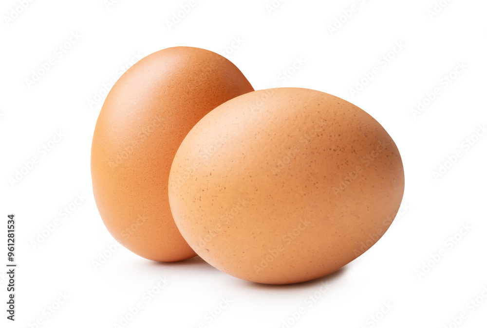 Side view of two fresh brown chicken eggs in stack isolated on white background with clipping path in png file format Side view of two fresh brown chicken eggs in stack isolated on white background with clipping path in png file format