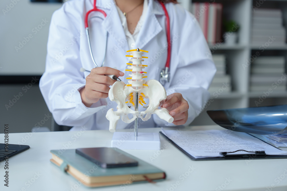 Happy and professional doctor showing anatomical model of human spine at clinic Concept of woman in white medical gown and stethoscope Health concept, treatment, health insurance. Happy and professional doctor showing anatomical model of human spine at clinic Concept of woman in white medical gown and stethoscope Health concept, treatment, health insurance.
