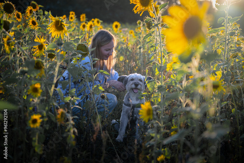 young woman with a dog in a field of sunflowers photo