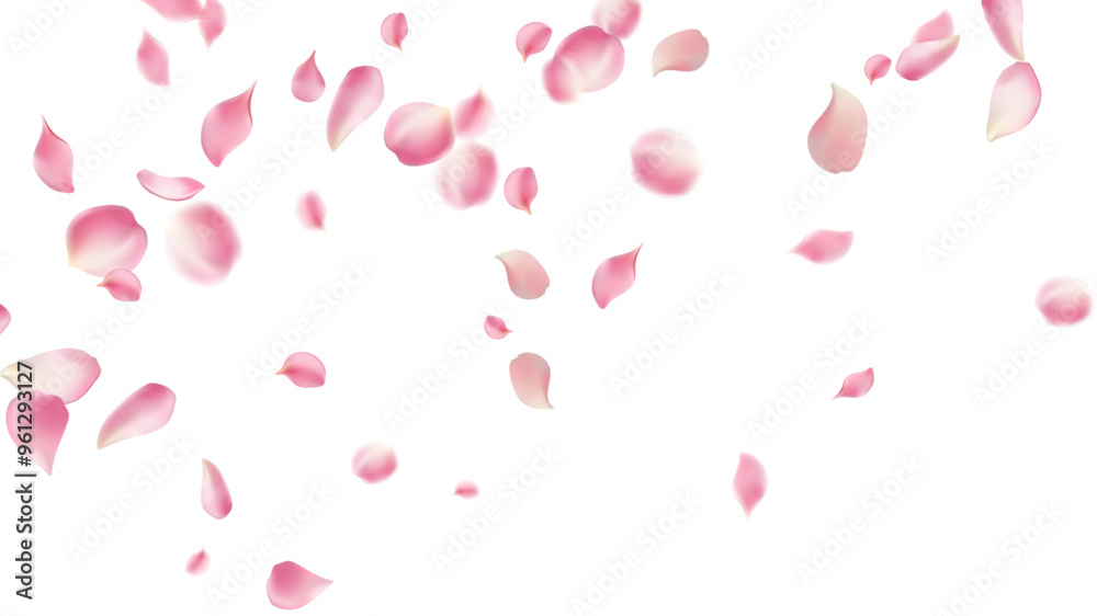 Rose petals or sakura flying petals, romantic background with realistic pink cherry flower petals flow or falling motion. Love, romance, floral spring season,cherry blossom Rose petals or sakura flying petals, romantic background with realistic pink cherry flower petals flow or falling motion. Love, romance, floral spring season,cherry blossom
