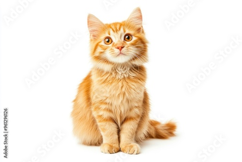 A cat with orange fur is sitting on a white background. The cat has a curious expression on its face , ai