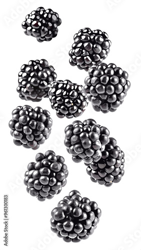 Falling blackberry isolated on white background, full depth of field
