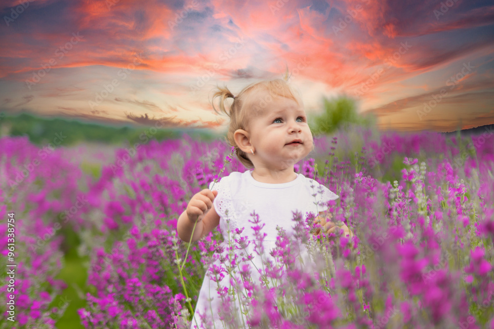 little beautiful girl in a white dress in a lavender field or garden, enjoying the aroma of lavender little beautiful girl in a white dress in a lavender field or garden, enjoying the aroma of lavender