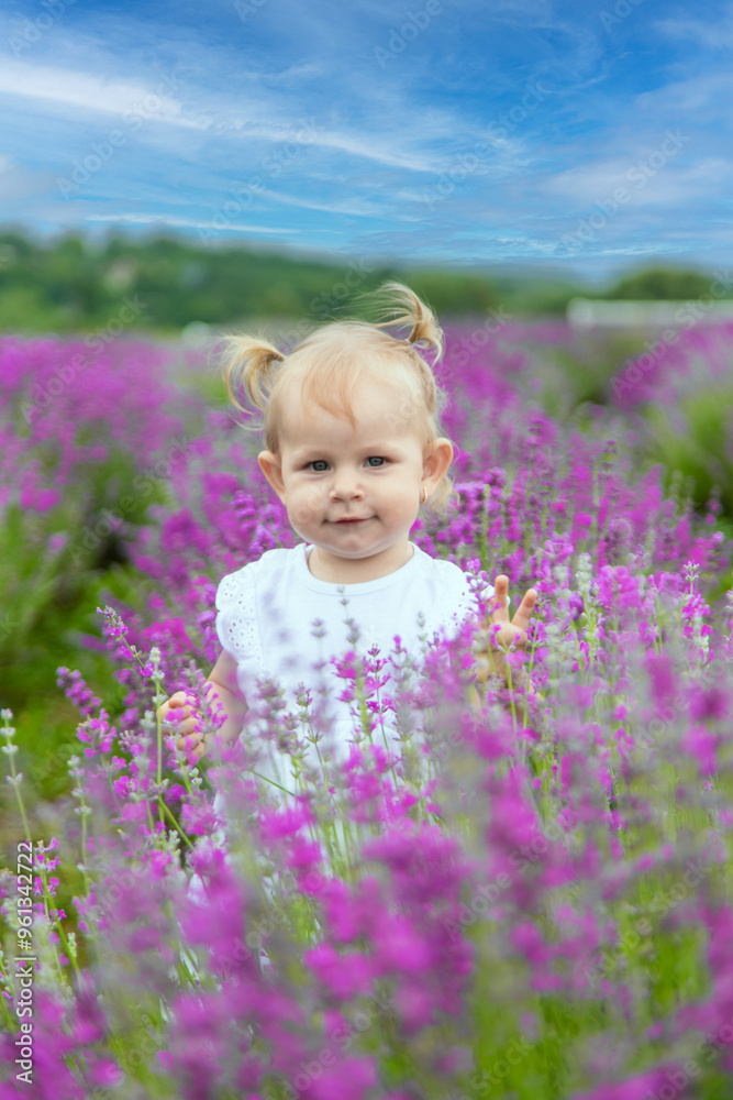 little beautiful girl in a white dress in a lavender field or garden, enjoying the aroma of lavender little beautiful girl in a white dress in a lavender field or garden, enjoying the aroma of lavender