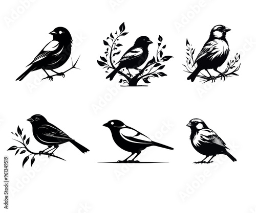 A set of sparrow silhouettes vector art.
 photo