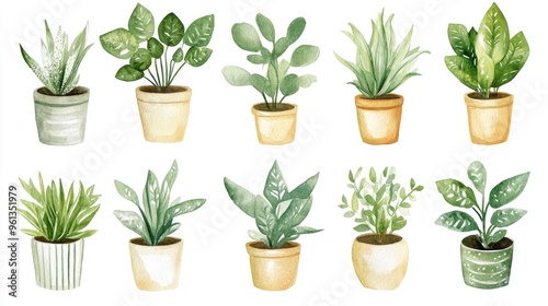 Charming Collection of Watercolor Indoor Plants to Enhance Your Home Decor