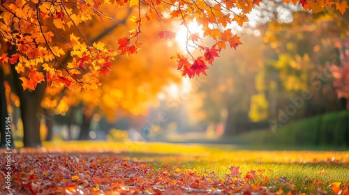 Bright orange and colorful trees fill the park around Hirosaki Castle in Japan. photo