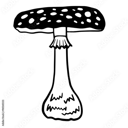 Fly agaric illustration. black and white line drawing of mushroom with a broad, domed cap adorned with white spots for poster, banner, recipe card, food package design