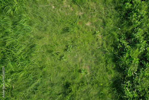 Aerial View of Empty Green Grass Field Background