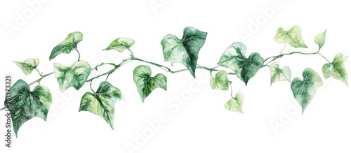 Elegant Watercolor Vine Leaves: A Beautiful Representation of Nature's Intricacies
