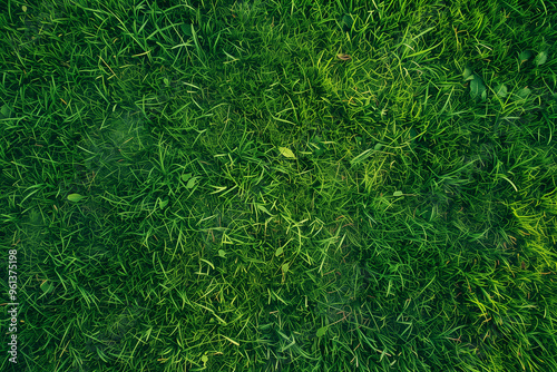 Aerial View of Empty Green Grass Field Background