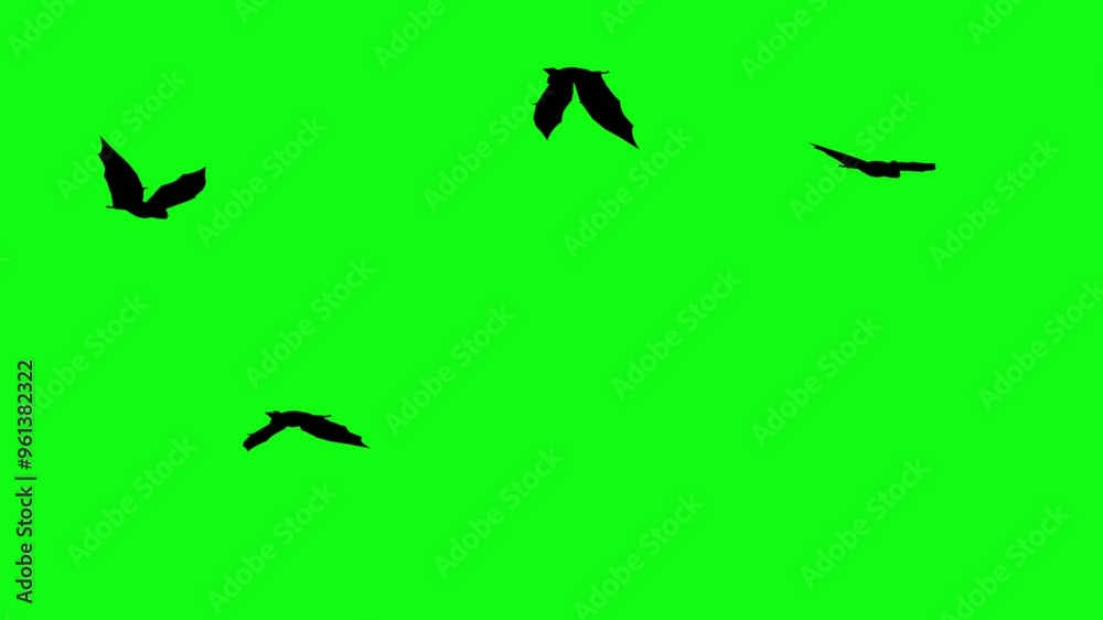 Flitter-mouse Silhouette fly on green screen animation, Halloween element Flitter-mouse Silhouette fly on green screen animation, Halloween element